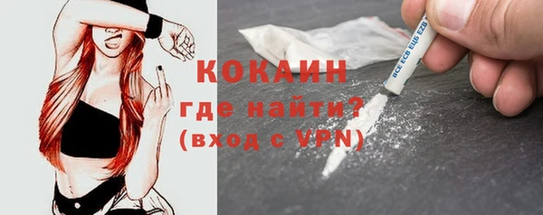 крисы Зерноград