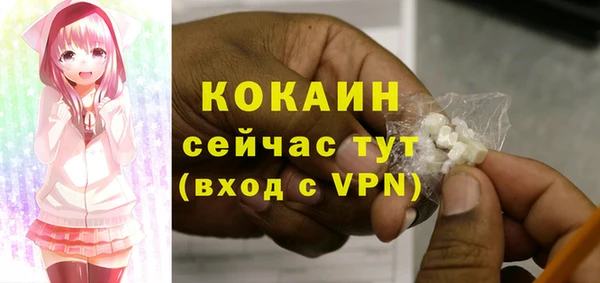 mix Козельск