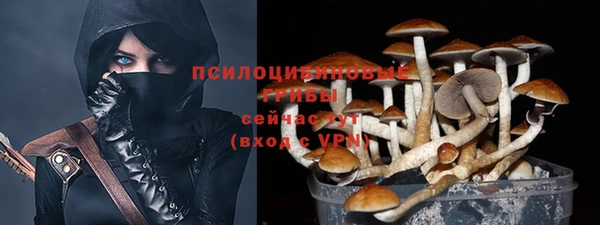прущие грибы Балахна