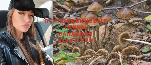 прущие грибы Балахна