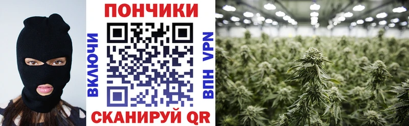 Бошки Шишки индика  Волосово 